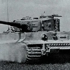 Pz6_Tiger_coming_to_bear