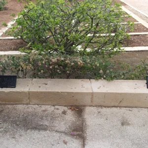 Pembroke Military Cemetery, Malta