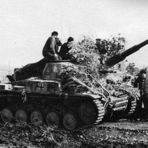 A Panzer II Of The 216th Assault Tank Battalion | A Military Photos ...