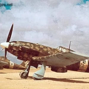 Macchi C.202AS Folgore