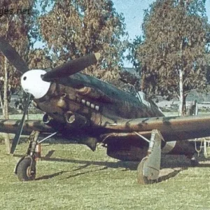 Macchi C.205V Veltro Sr.I