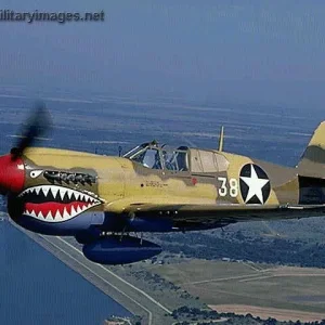 P-40 Warhawk