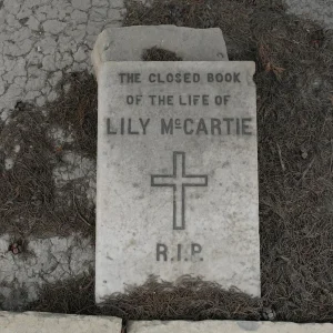 3.4.02.Lily  McCARTIE