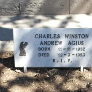 Charles Winston Andrew AGIUS