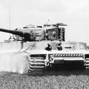 Tank-tiger-590813