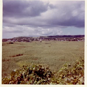 Okinawa 1965 #5