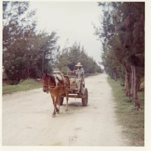 Okinawa 1965 IE Jima Backroad