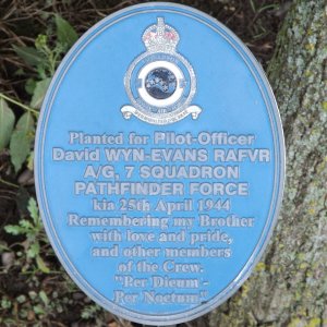 David WYN-EVANS