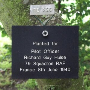 Richard Guy HULSE