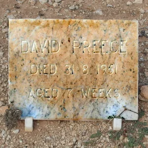 DAVID PREECE