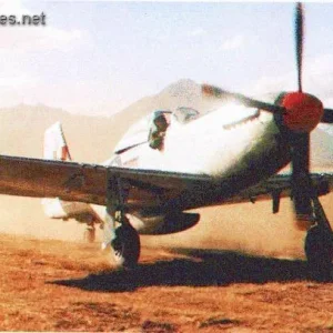 P-51D Mustang