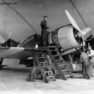 Reggiane Re.2000 Falco