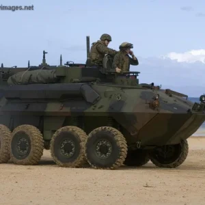 Marines drive a Light Armored Vehicle