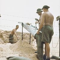 Diggers filling sandbags , South Vietnam. 29 March 1967