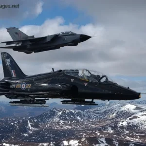 Hawk and Tornado