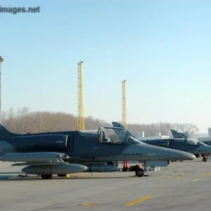 L-159 ALCA - Czech Air Force