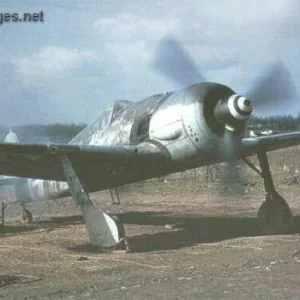 FOCKE-WULF FW-190