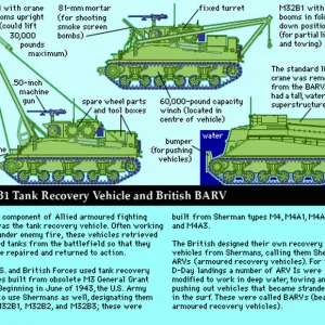 m32b1 ARV and BARV.gif