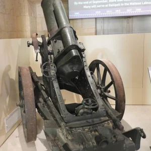 25 cm schwerer Minenwerfer  (1)