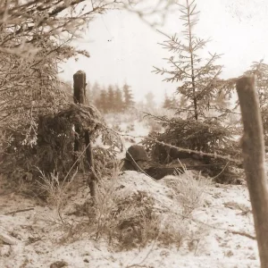 Ardennes woods during winter This photo was realised on January 1945 by Private A. Herz (U. Ar...jpg