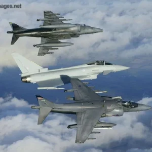 Harriers & Eurofighter