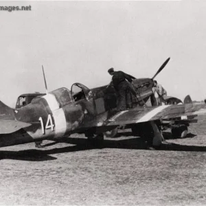 Dewoitine D. 520 1943