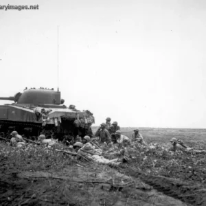 "Negro troops of the 24th Infantry" 1944