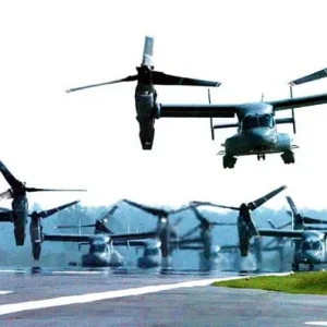 A Flock of Ospreys