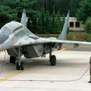 German MiG-29