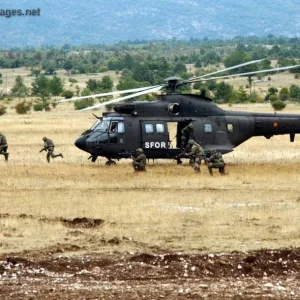 German troops during an operational demonstration