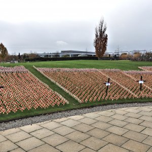 Field of Remembrance (2)