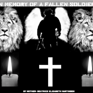 IN MEMORY OF A FALLEN SOLDIER      imageedit_4_4915983730 (2).png