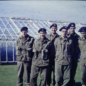 Glosters on exercise