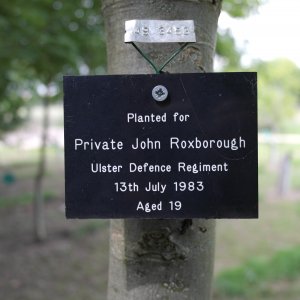 John Roxborough