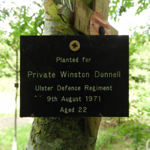 Winston DONNELL