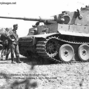 pz6_LAH_Tiger_1312