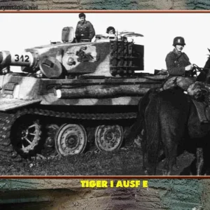 pz6_late_tiger_312_sPzAbt_505