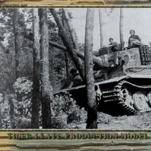 pz6_late_Tiger_Lumberjack