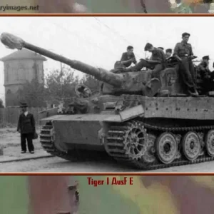 pz6_Late_tiger_wpns_covered_transport_tracks_on