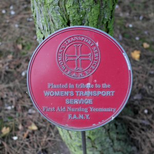 Women's Transport Service.JPG