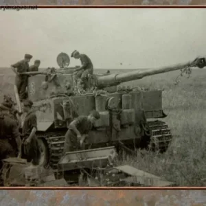 pz6_Tiger_123_sPzAbt_503_resupplied_Kursk43_2