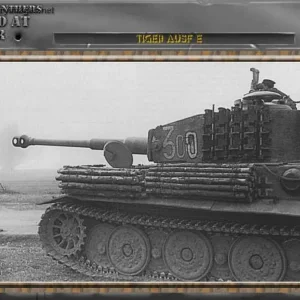 pz6_Tiger_300_observing