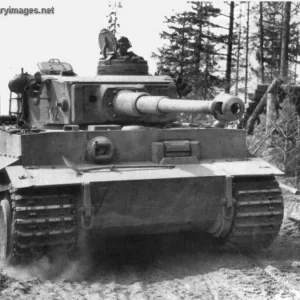 pz6_Tiger_312_of_sPz_Abt_502_on_the_move