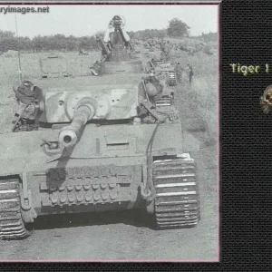 pz6_Tiger_Col_Stopped