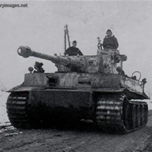 Pz6_Tiger_E_101_sSSPzABT_Wittmanns_Last_Ride | A Military Photo & Video ...