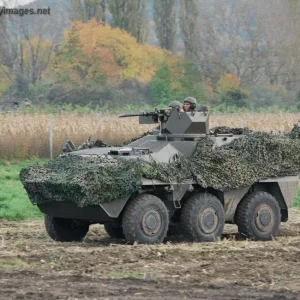 Pandur 6x6, Austrian Army