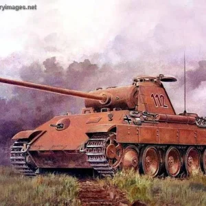 pz5a0020