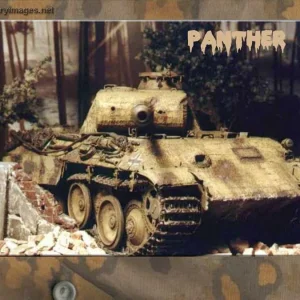 pz5a0070