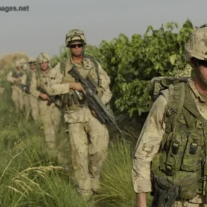 Canadian soldiers advance through fields