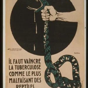 French War Posters